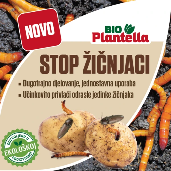 zicnjaci-steta-krumpir-feromonski-mamac zicnjaci-steta-krumpir-feromonski-mamac